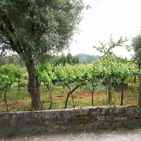 Tatil Evi Casas Deca & Dela